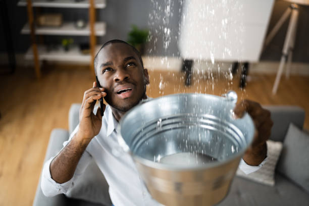 Best Ceiling water damage repair  in North Catasauqua, PA