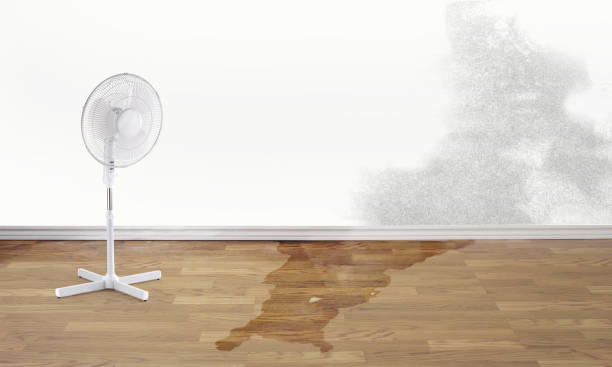 Best 24/7 water damage repair  in North Catasauqua, PA