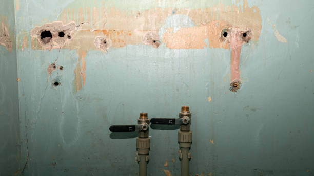 Best 24/7 water damage repair  in North Catasauqua, PA
